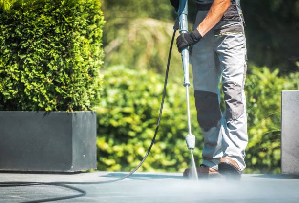 Best Solar Panel Cleaning  in Quincy, FL